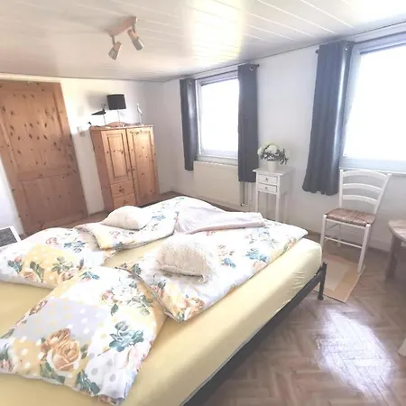Neu! Ilona - Apartment *